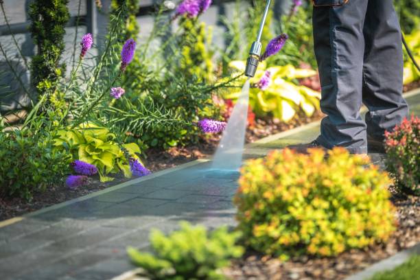Best Animal Enclosure Cleaning  in Marysville, WA